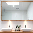 Iluka shaving cabinet geelong