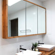 Iluka mirror cabinet torquay