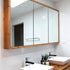 Iluka mirror cabinet torquay