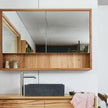 Kiana bathroom mirror cabinet geelong