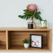 luna timber tv unit sydney

